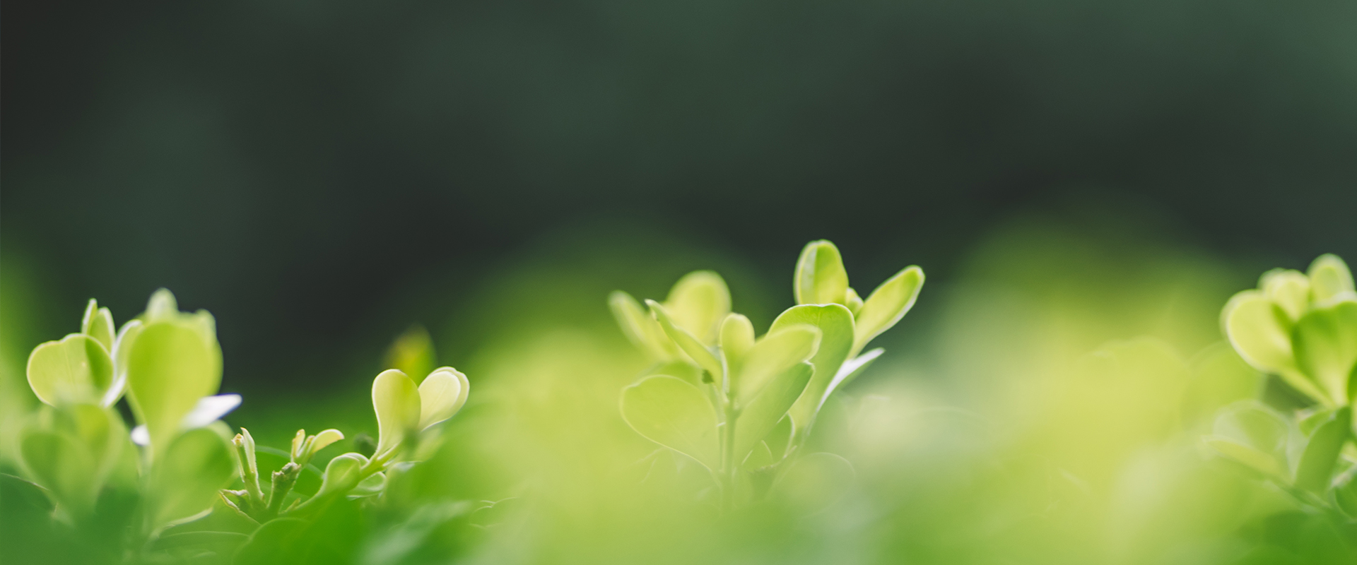 以創(chuàng)意節(jié)能環(huán)保，締造健康生活